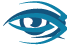 SPLETNI USPEH Logo